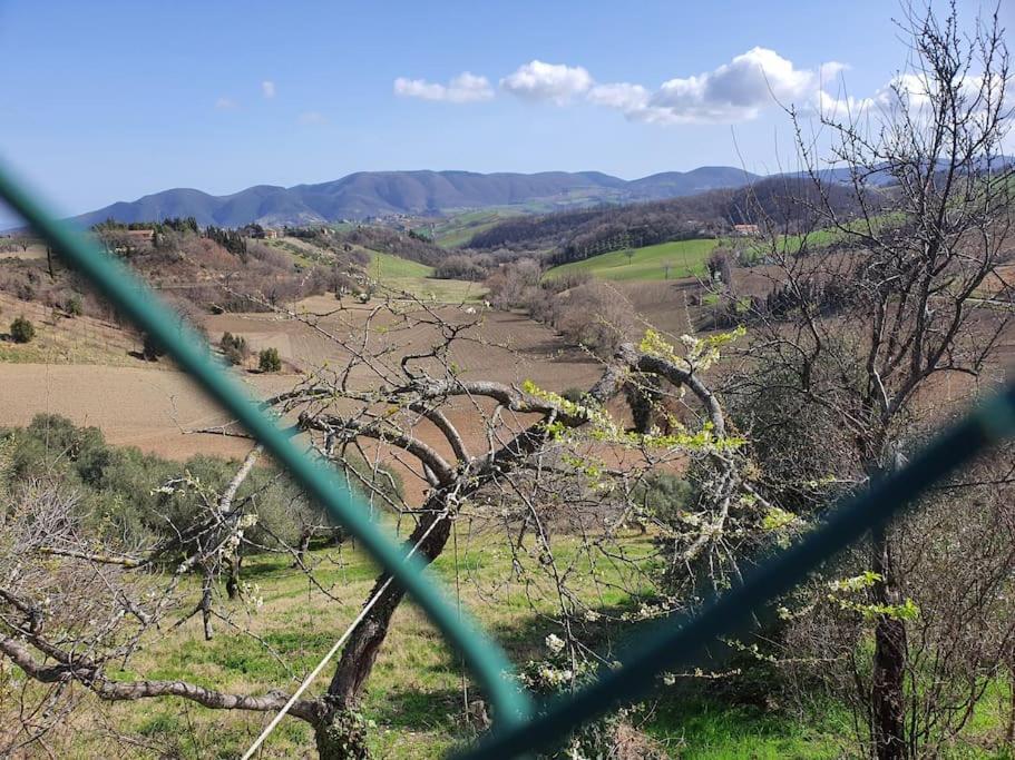 La Quiete Tra Le Montagne Apartment Apiro Екстериор снимка