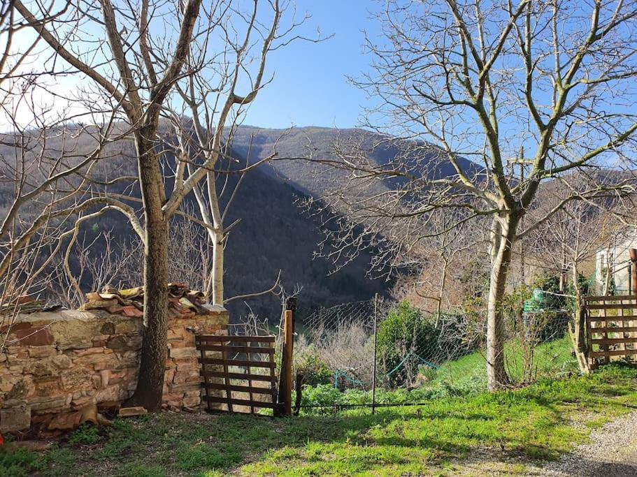 La Quiete Tra Le Montagne Apartment Apiro Екстериор снимка